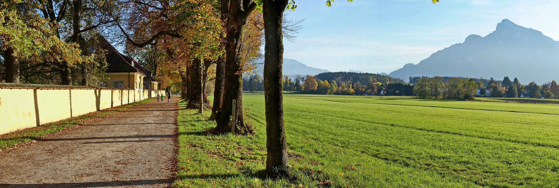 Schloss Frohnburg
